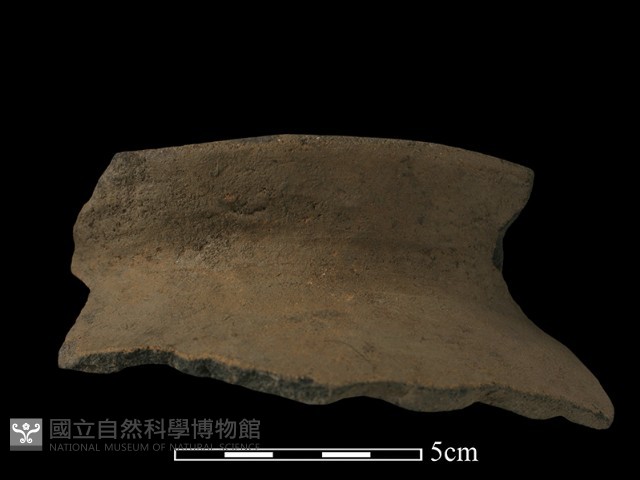 陶片藏品圖，第2張