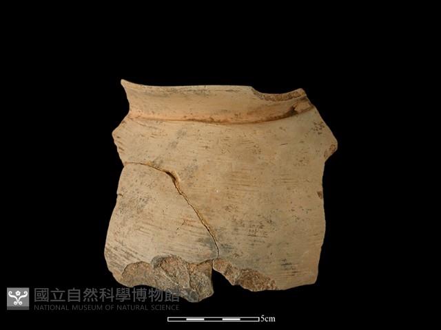 陶罐藏品圖，第1張