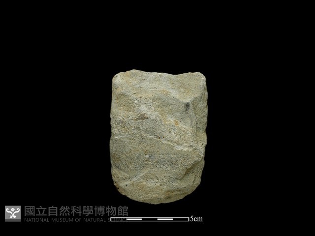 斧鋤形器藏品圖，第1張