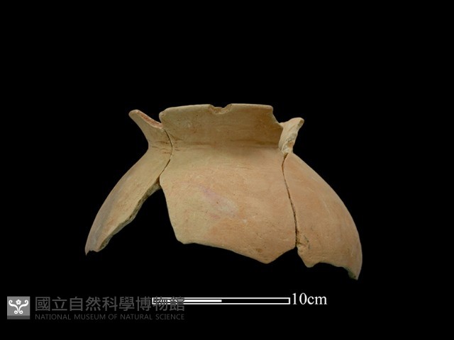 陶罐藏品圖，第1張