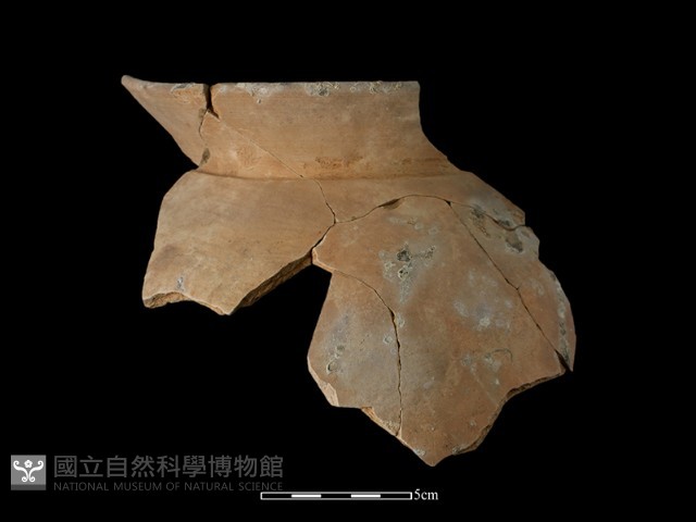 陶罐藏品圖，第1張