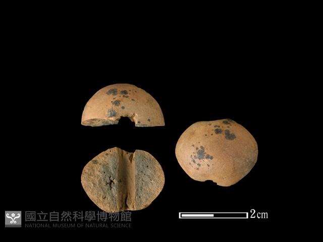 紡輪藏品圖，第1張