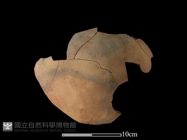 陶罐藏品圖，第2張