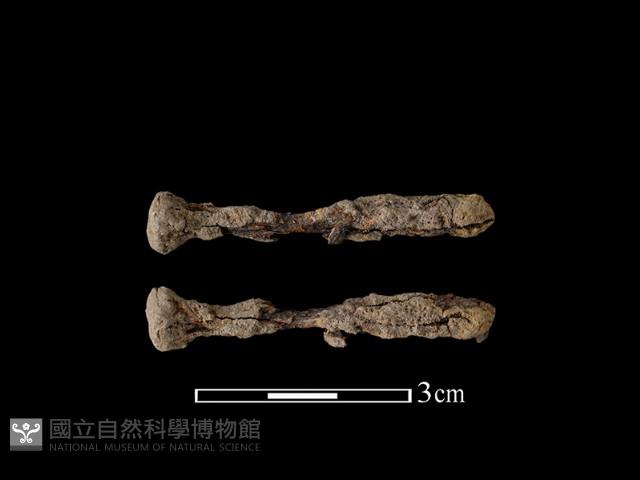 鐵釘藏品圖，第1張