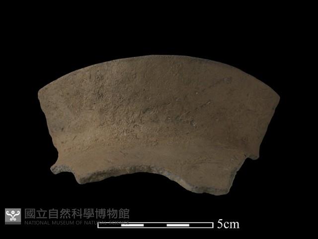 陶片藏品圖，第2張