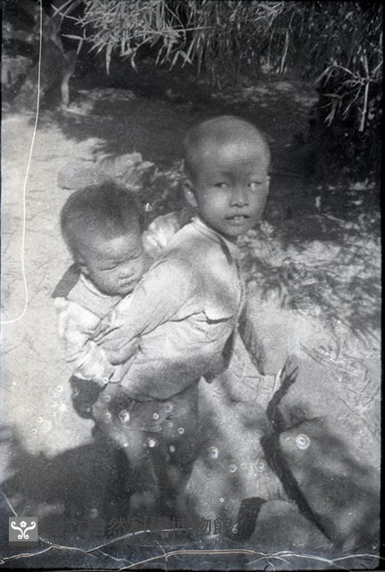 1950至2006年臺灣常民生活藏品圖，第1張