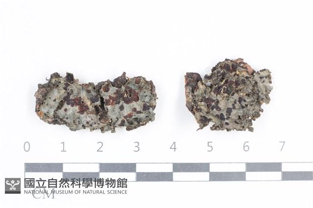 登錄號:L00004982藏品圖，第1張