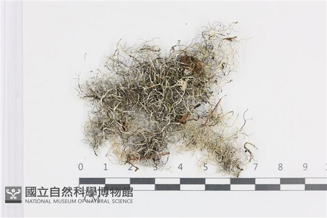 登錄號:L00004912藏品圖，第1張