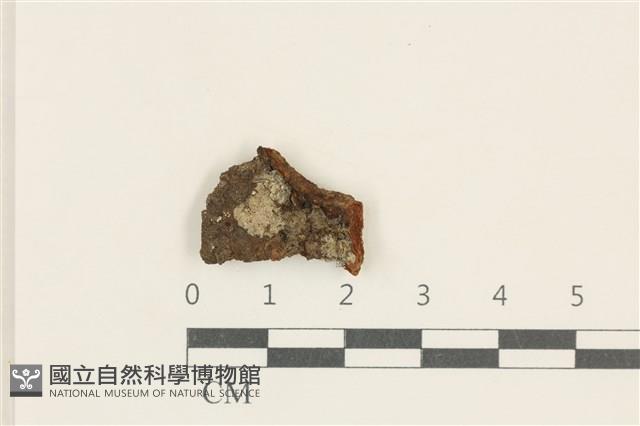 登錄號:L00005072藏品圖，第1張