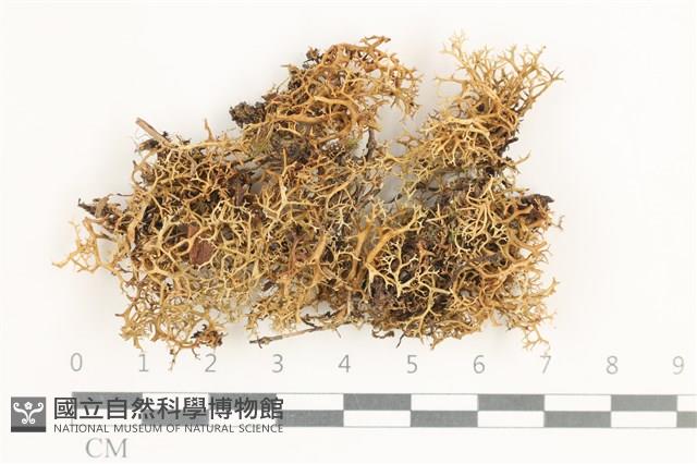 登錄號:L00000972藏品圖，第1張
