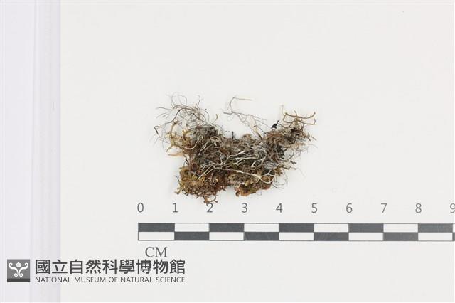 登錄號:L00003992藏品圖，第1張