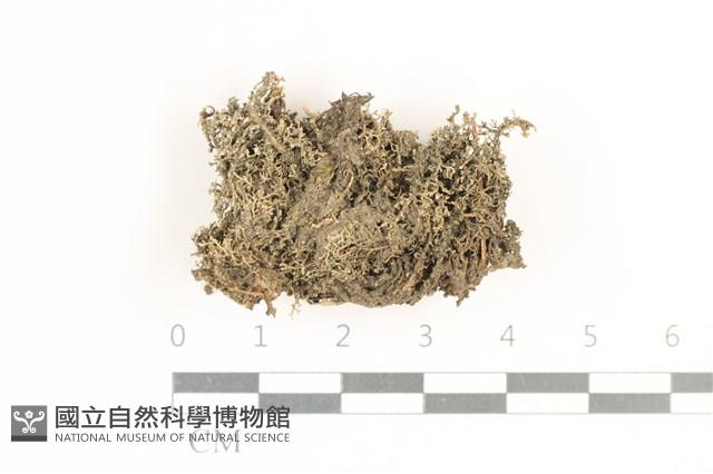 登錄號:L00000808藏品圖，第1張