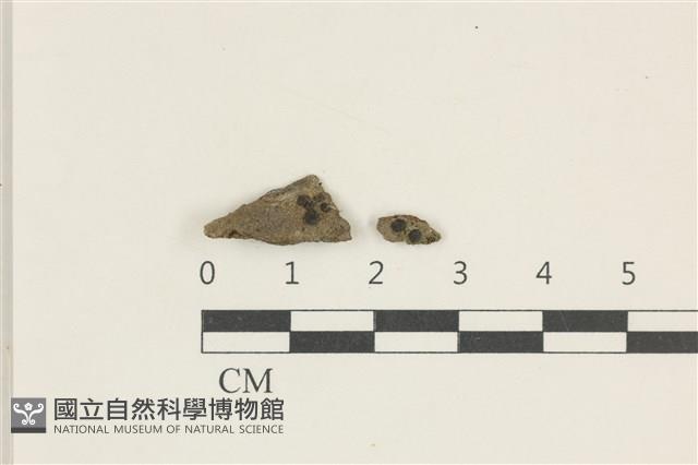 登錄號:L00002818藏品圖，第1張