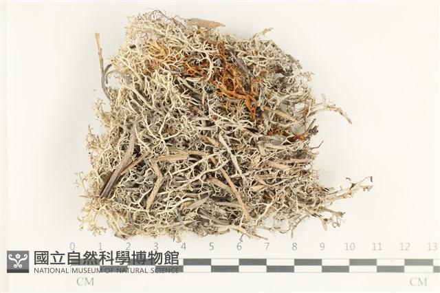 登錄號:L00002838藏品圖，第1張