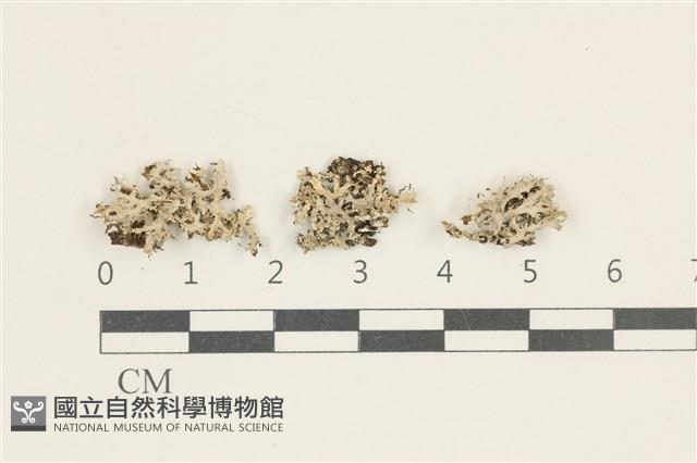 登錄號:L00004186藏品圖，第1張