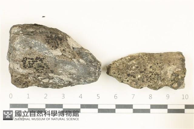館號:L00002816藏品圖，第1張