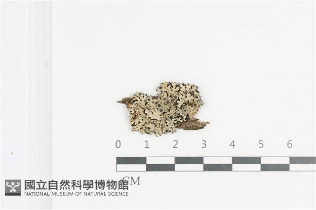 登錄號:L00002096藏品圖，第1張