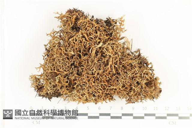 登錄號:L00001807藏品圖，第1張
