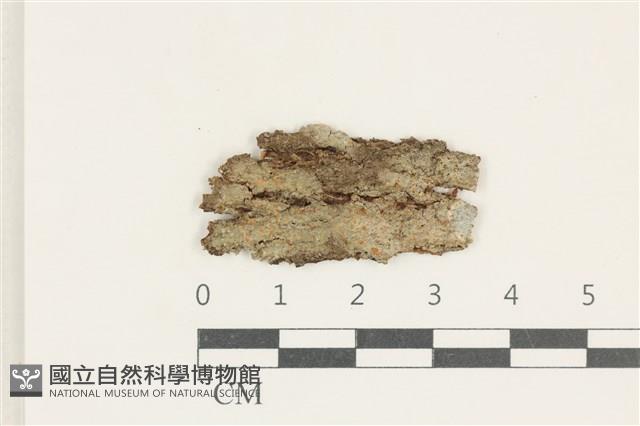 登錄號:L00005035藏品圖，第1張