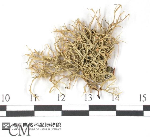 登錄號:L00001841藏品圖，第1張