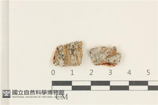 登錄號:L00005031藏品圖，第1張