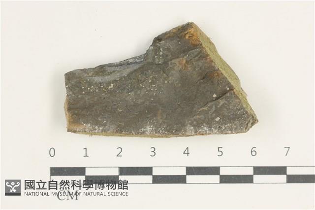 登錄號:L00005080藏品圖，第1張