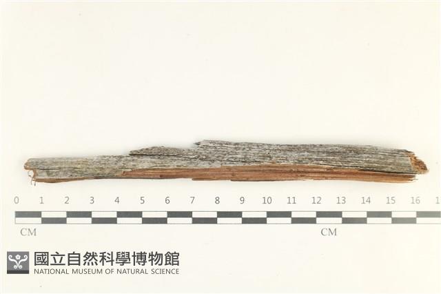 登錄號:L00005100藏品圖，第1張