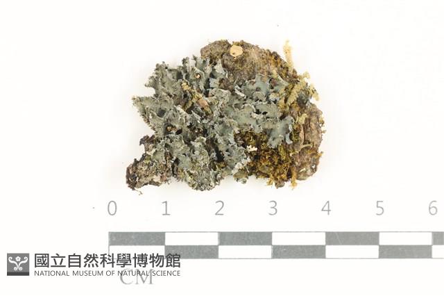 登錄號:L00002240藏品圖，第1張