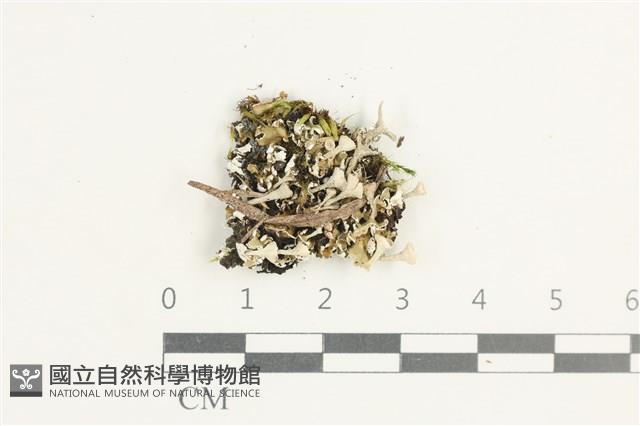 登錄號:L00002270藏品圖，第1張