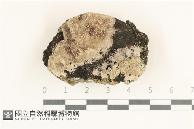 登錄號:L00005170藏品圖，第1張