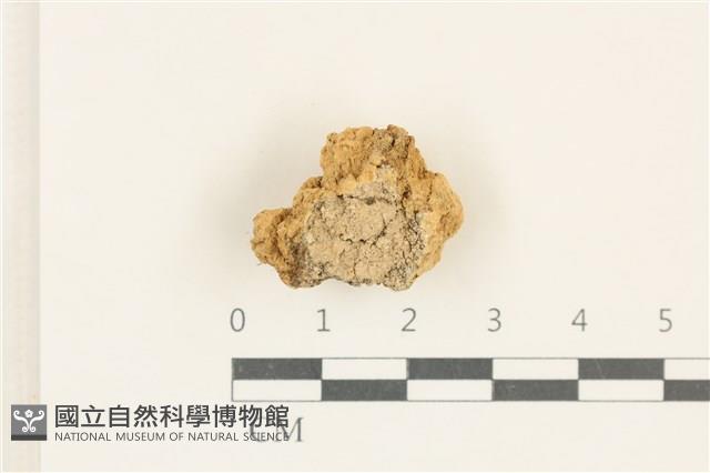 登錄號:L00005050藏品圖，第1張