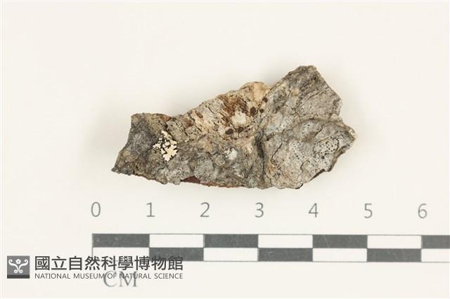 登錄號:L00005083藏品圖，第1張