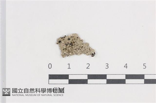 Accession Number:L00002063 Collection Image, Figure 1, Total 2 Figures