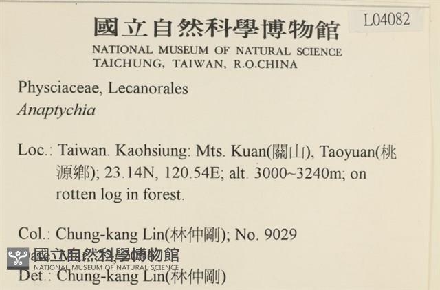 登錄號:L00004082藏品圖，第2張