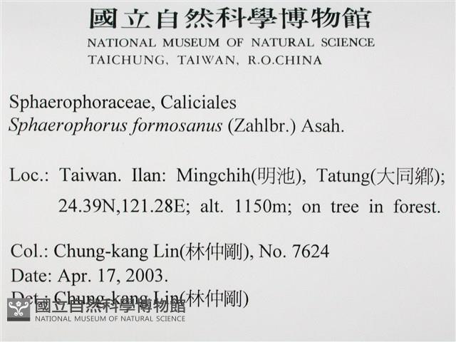 台灣球粉衣藏品圖，第2張