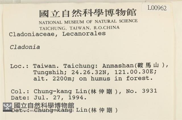 登錄號:L00000962藏品圖，第2張