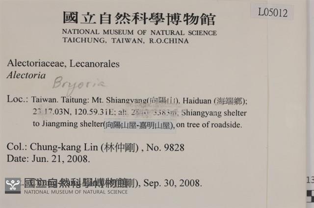 登錄號:L00005012藏品圖，第2張