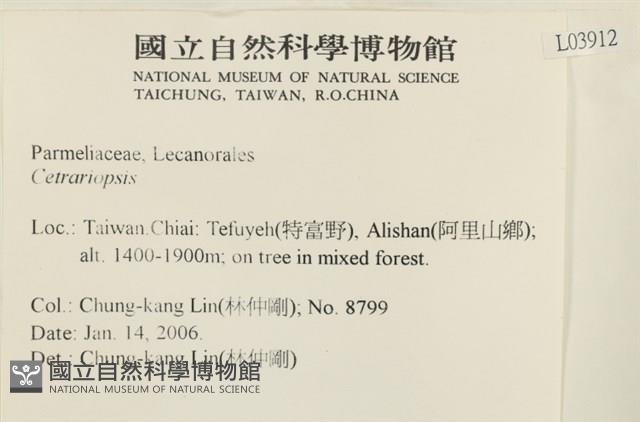 登錄號:L00003912藏品圖，第2張