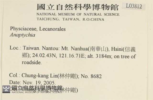 登錄號:L00003812藏品圖，第2張