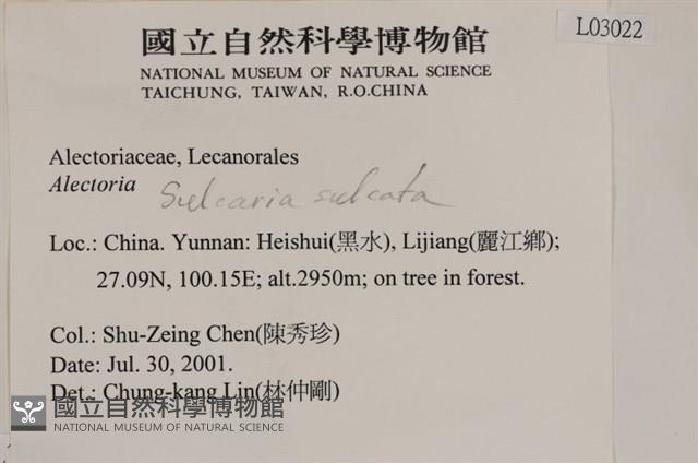登錄號:L00003022藏品圖，第2張