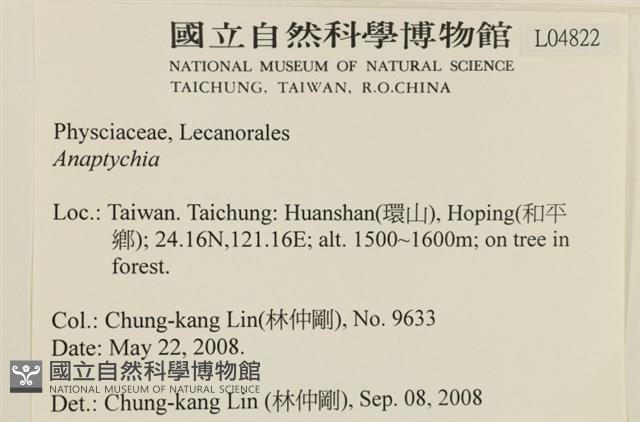 登錄號:L00004822藏品圖，第2張