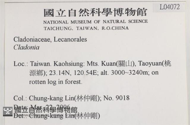 登錄號:L00004072藏品圖，第2張