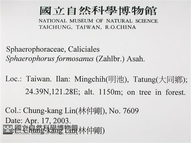 台灣球粉衣藏品圖，第2張