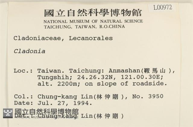 登錄號:L00000972藏品圖，第2張