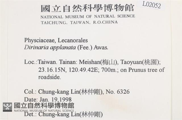 扁平黑囊基衣藏品圖，第2張