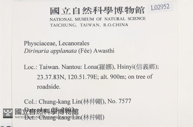 扁平黑囊基衣藏品圖，第2張