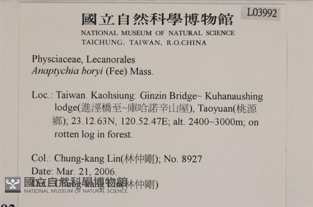 登錄號:L00003992藏品圖，第2張