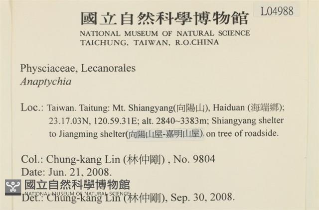 登錄號:L00004988藏品圖，第2張