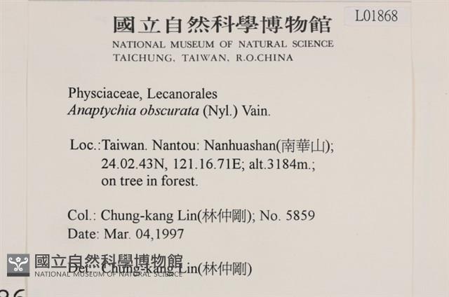 登錄號:L00001868藏品圖，第2張