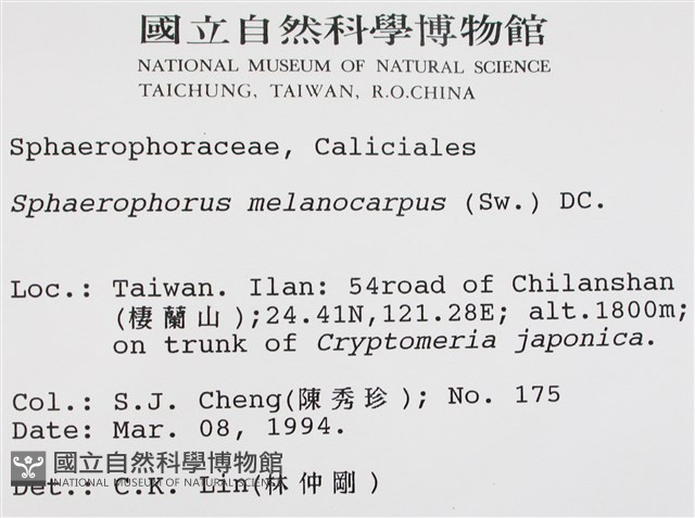 登錄號:L00000918藏品圖，第2張